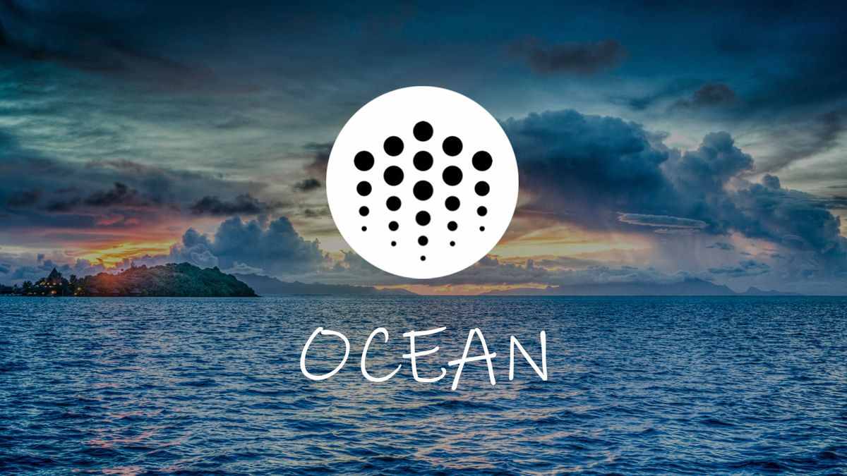 ocean protocol