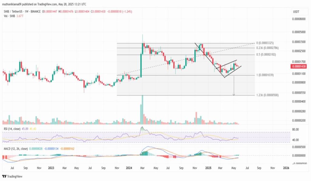Analistas esperan un colapso en el precio de SHIB, esto es lo que sabemos