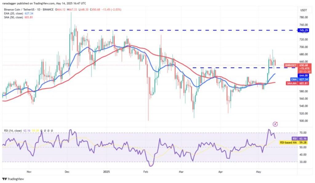 Con el mercado de criptomonedas al alza: ¿podría el precio de BNB alcanzar nuevos máximos?